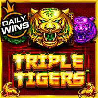 Vs1tigers T