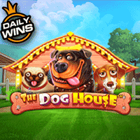 Vs20doghouse T