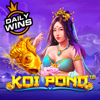 Vs243koipond