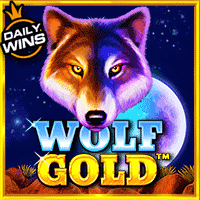 Vs25wolfgold T
