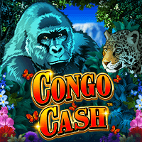 Vs432congocash